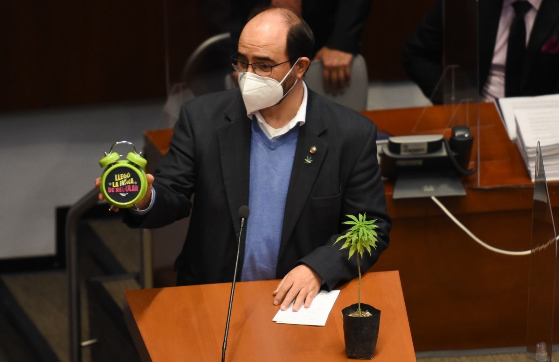 Álvarez Icaza también mostró en la tribuna una planta de marihuana, de las cuales se vieron varias en el Pleno del Senado (Foto: Cuartoscuro)