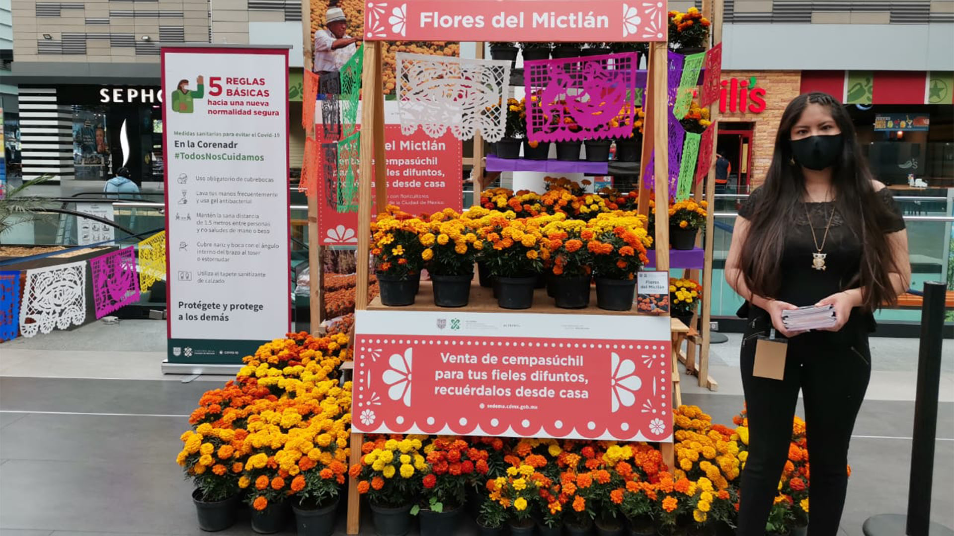 Día de Muertos 2020: dónde se puede conseguir la tradicional flor de  cempasúchil en CDMX - Infobae