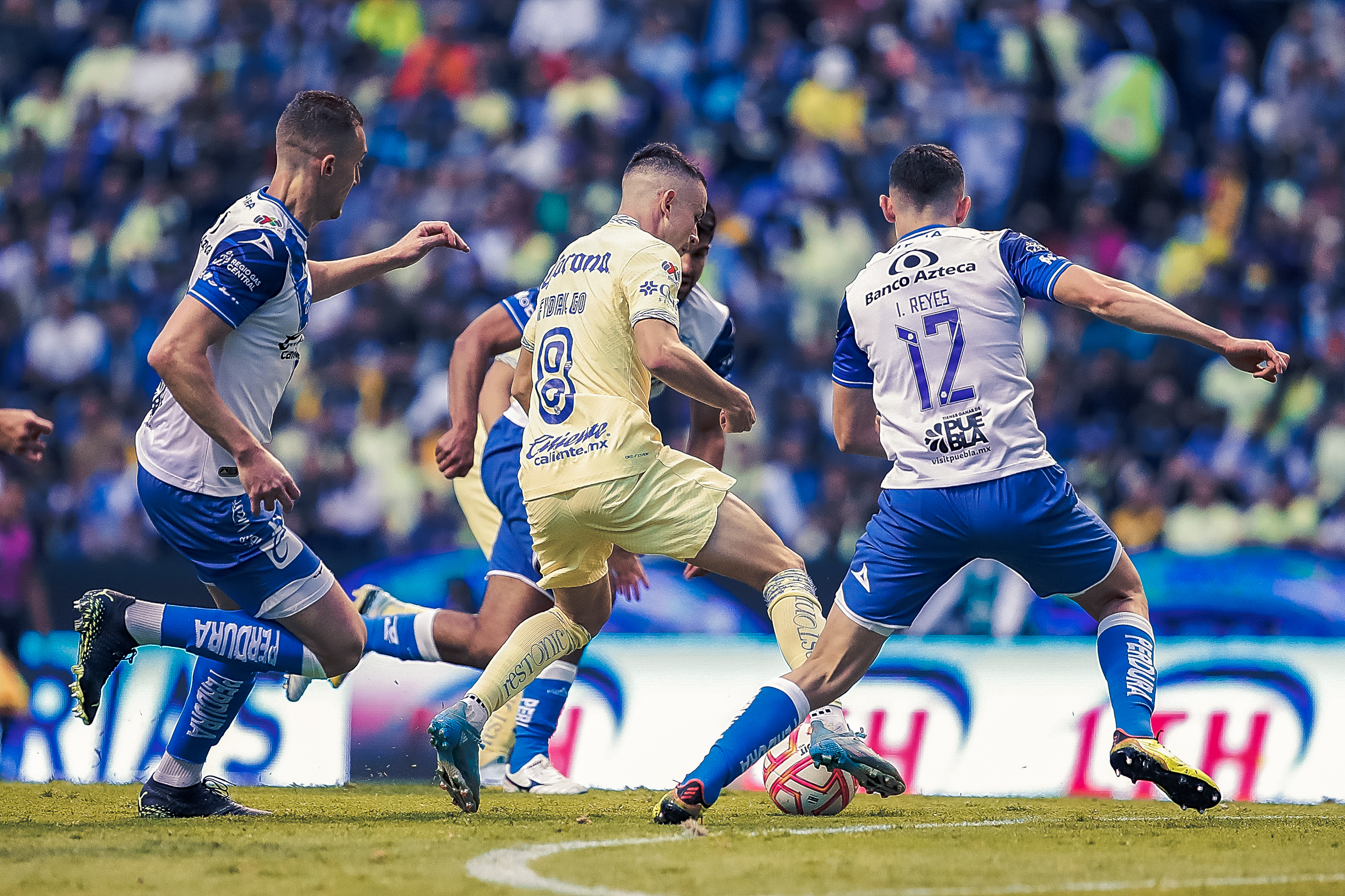 América vs Puebla: cuál es la “coincidencia” que acercaría a las Águilas a  un nuevo campeonato - Infobae
