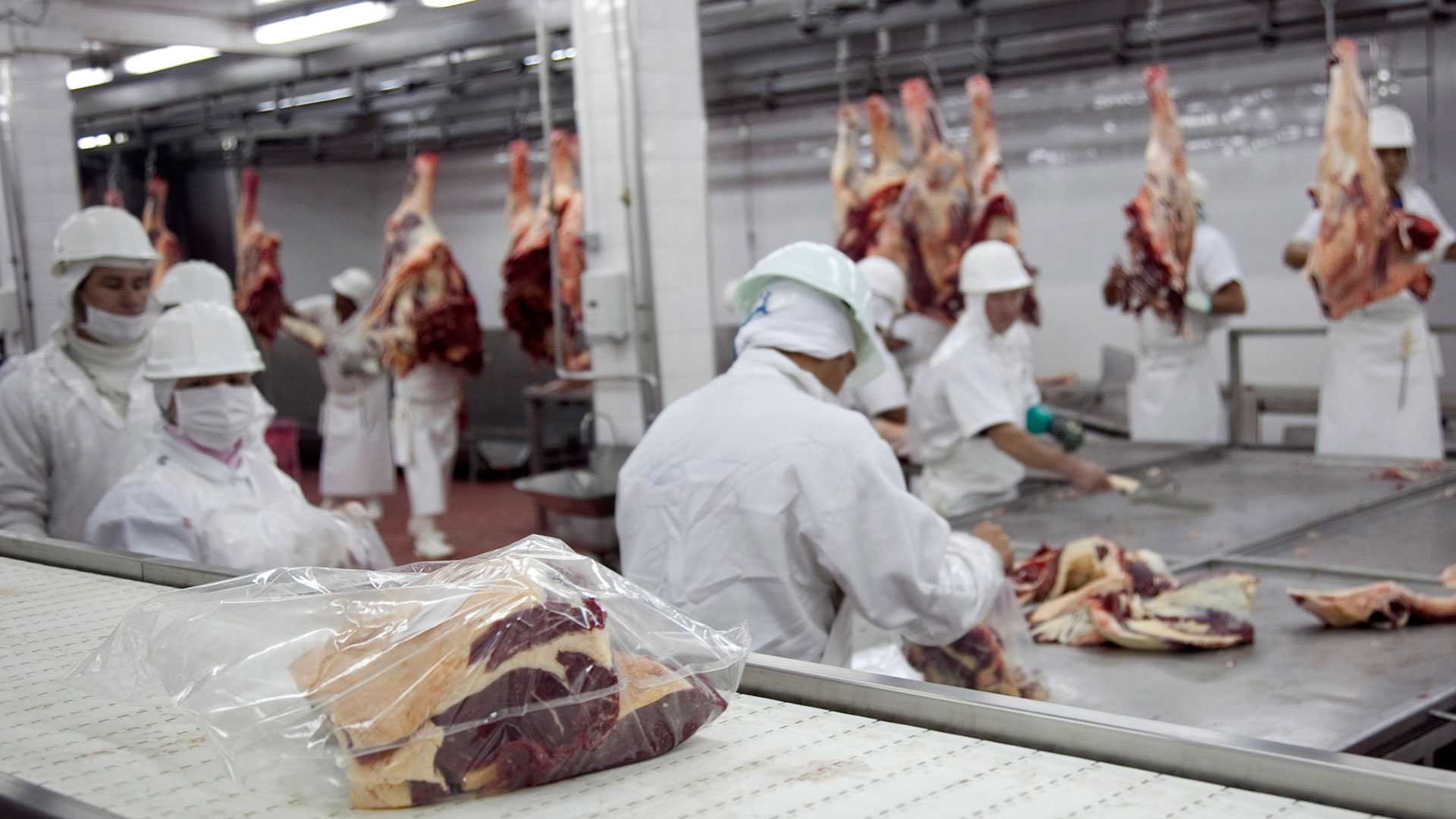 Aumentan las críticas del sector privado al Gobierno por prorrogar las restricciones a las exportaciones de carne vacuna (NA)