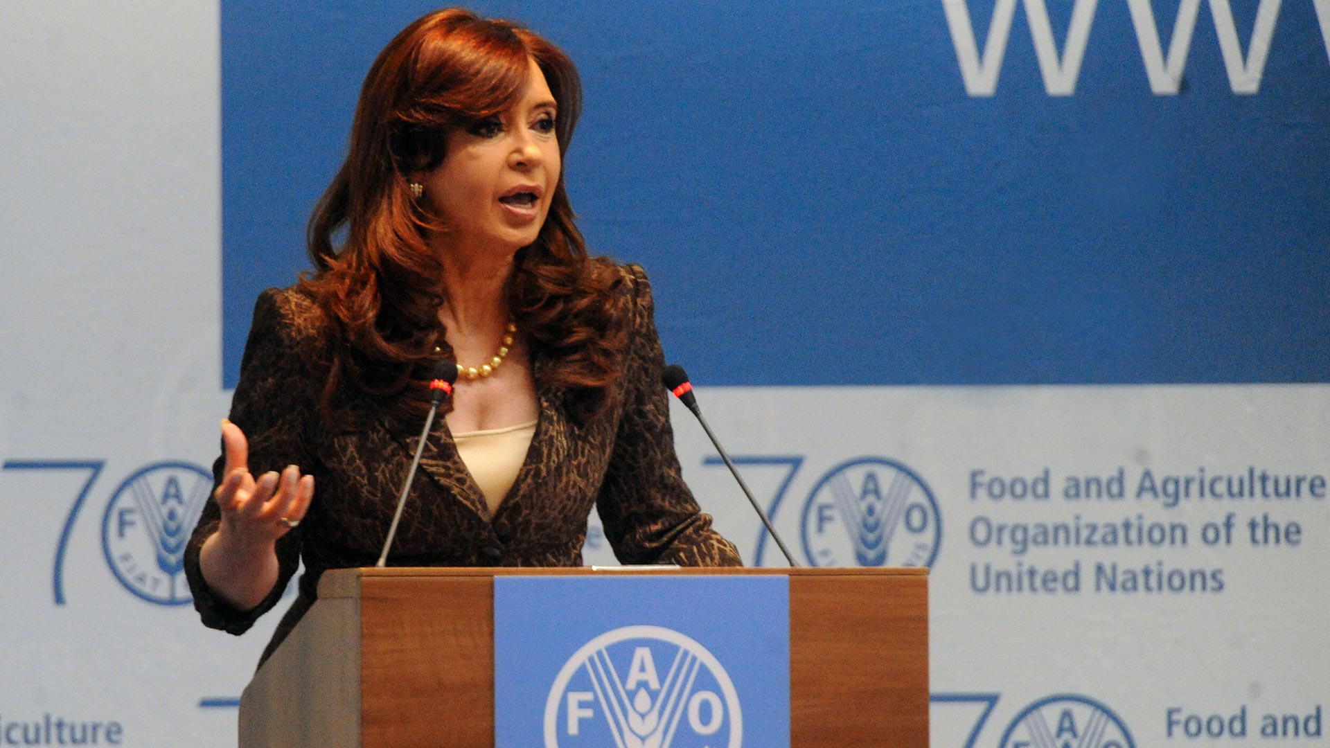 Durante una conferencia de la FAO la entonces presidenta Cristina Fernández dijo que la pobreza estaba por debajo del 5% (NA)
