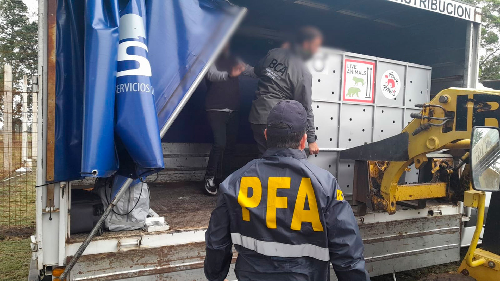 Los allanamientos fueron encabezados por la Policía Federal Argentina
