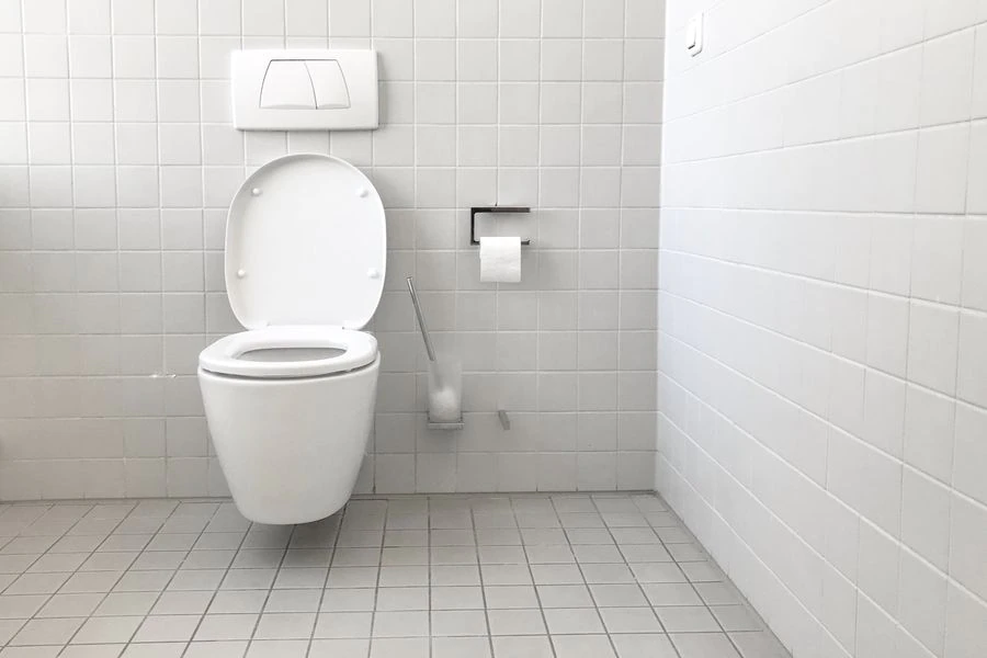 La IA que detecta enfermedades intestinales mientras se graba a la persona en el baño