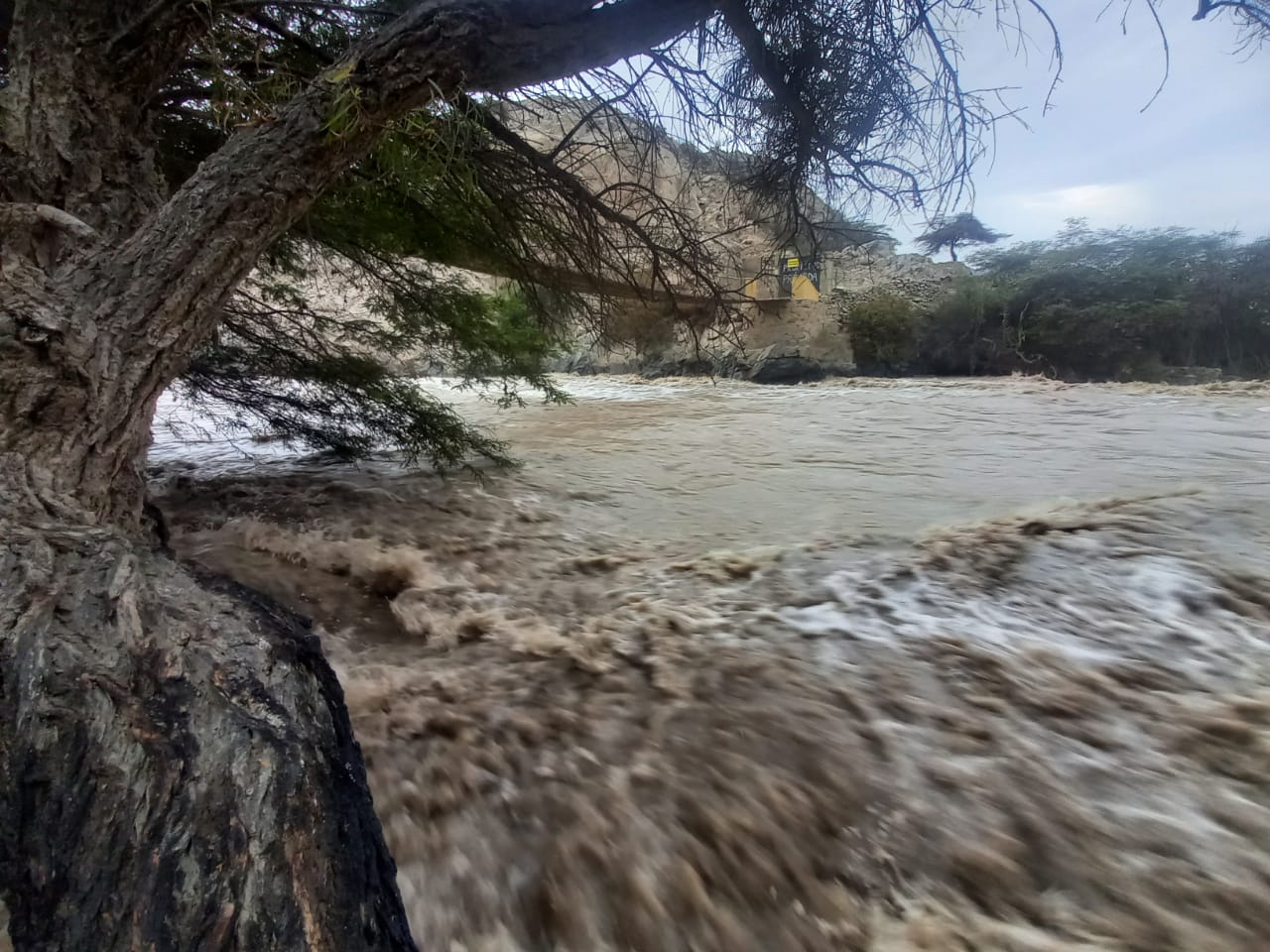 Incremento del caudal del río Pisco alerta a los pobladores de Ica ante posibles desbordes. (Twitter)
