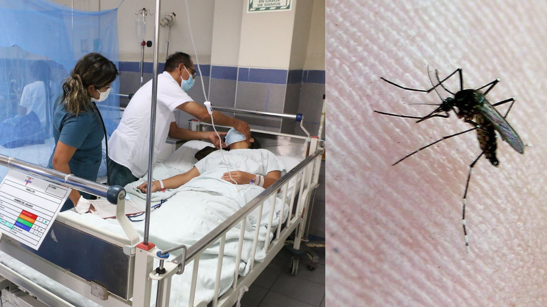 “Esta es la peor epidemia de dengue de nuestra historia”, aseguró epidemiólogo Antonio Quispe