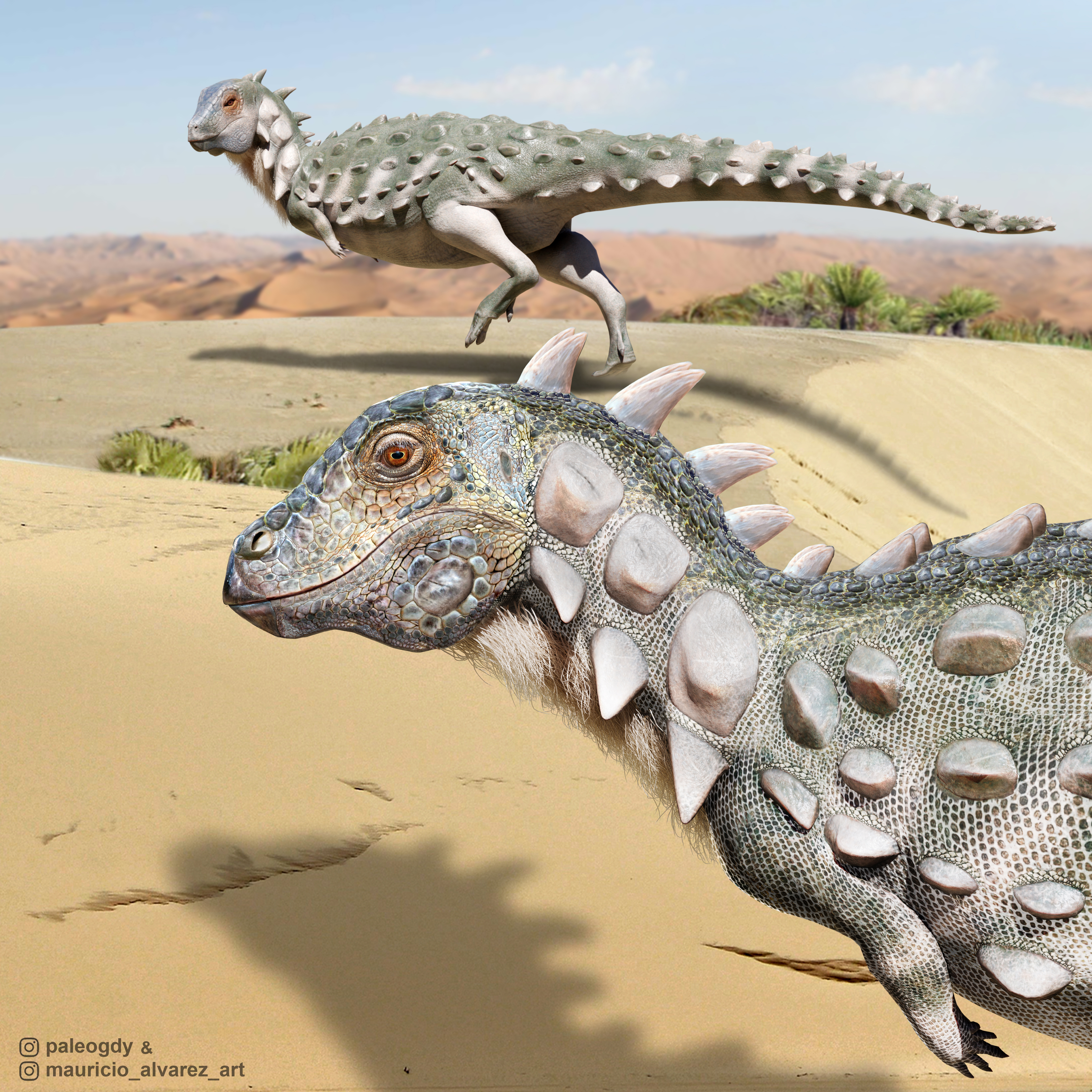 Ilustración de cuerpo completo del nuevo dinosuario acorazado que vivió en la Patagonia Norte (cortesía Mauricio Alvarez)