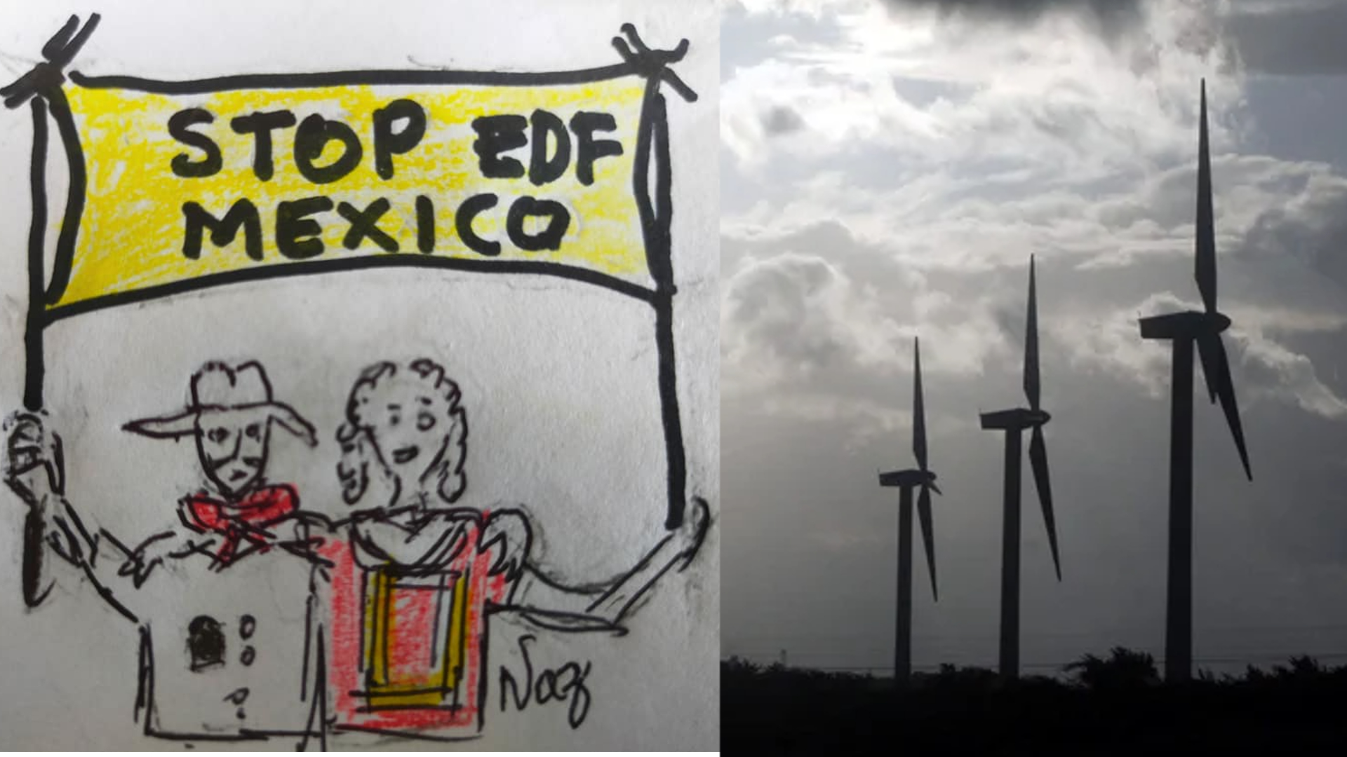 David contra Goliat: zapotecas le ganaron a EDF y salvaron miles de hectáreas comunales de proyecto energético