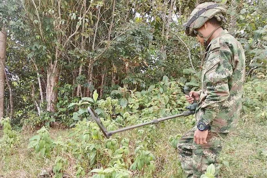El ELN habría instalado un campo minado cerca a un campamento de reinsertados de las Farc en Antioquia