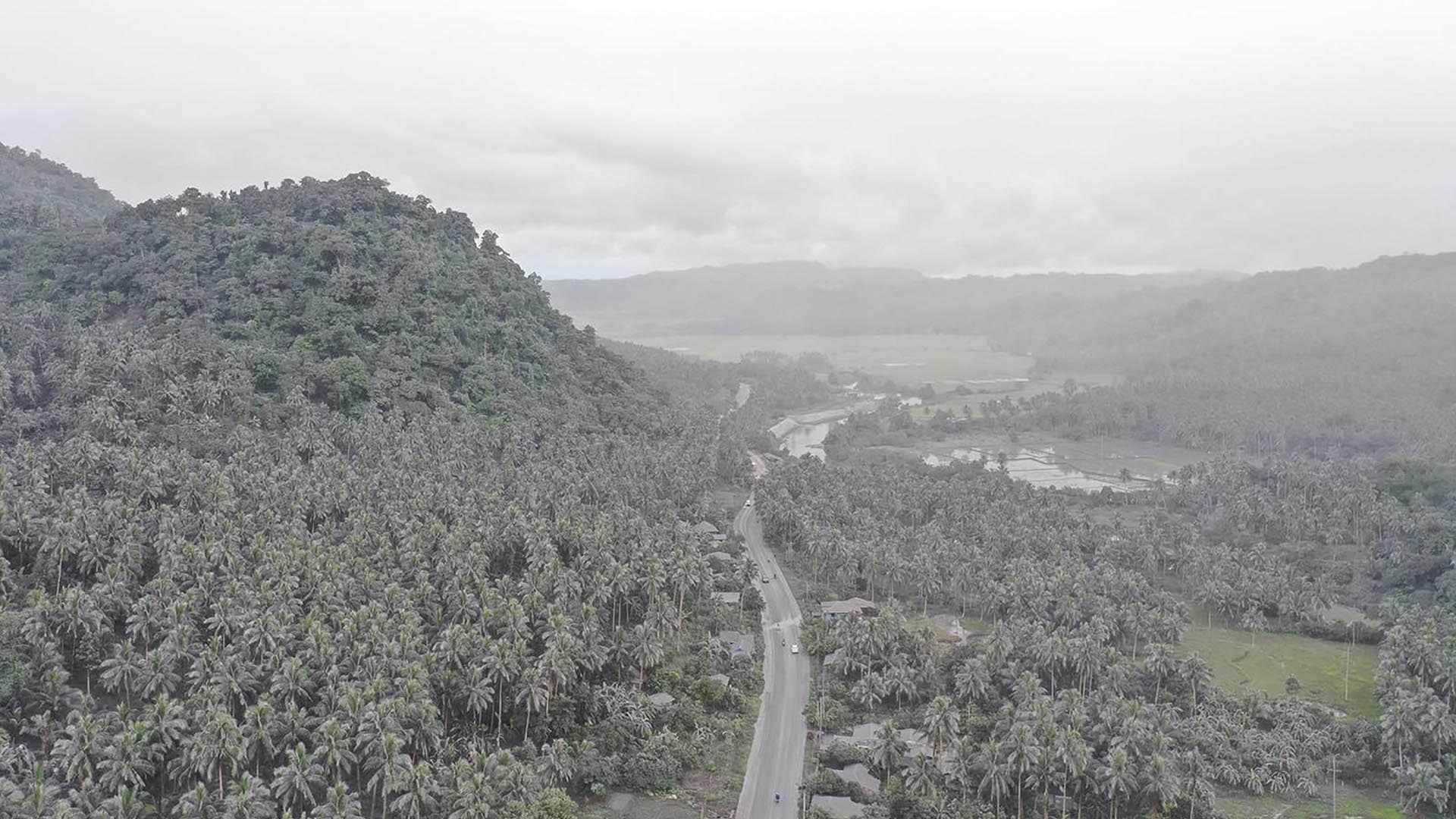 Casas cubiertas de ceniza y vegetación en la ciudad de Juban, provincia de Sorsogon, después de que el volcán Bulusan entrara en erupción enviando una columna de ceniza sobre la zona.