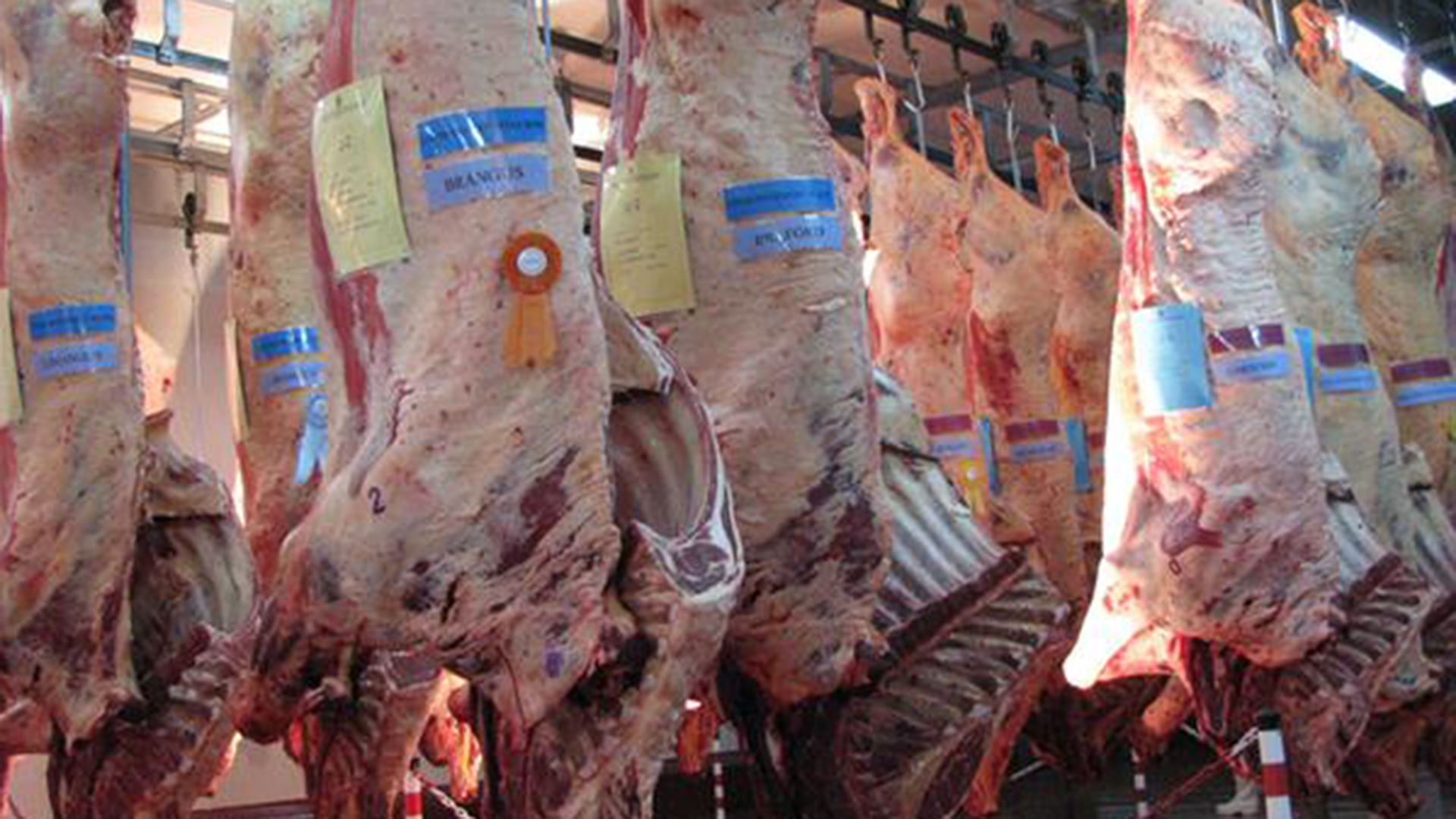 Según el informe de la Bolsa de Rosario, "la producción de carne vacuna se mantuvo constante ya que evidenció una variación del 0,08% entre las toneladas a principio y fin del período analizado"