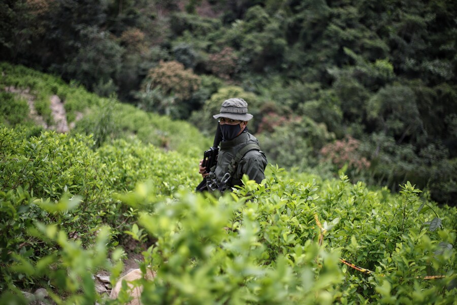 Colombia cultiva menos coca, pero produce más cocaína: Informe Mundial sobre las Drogas 2022 de la ONU