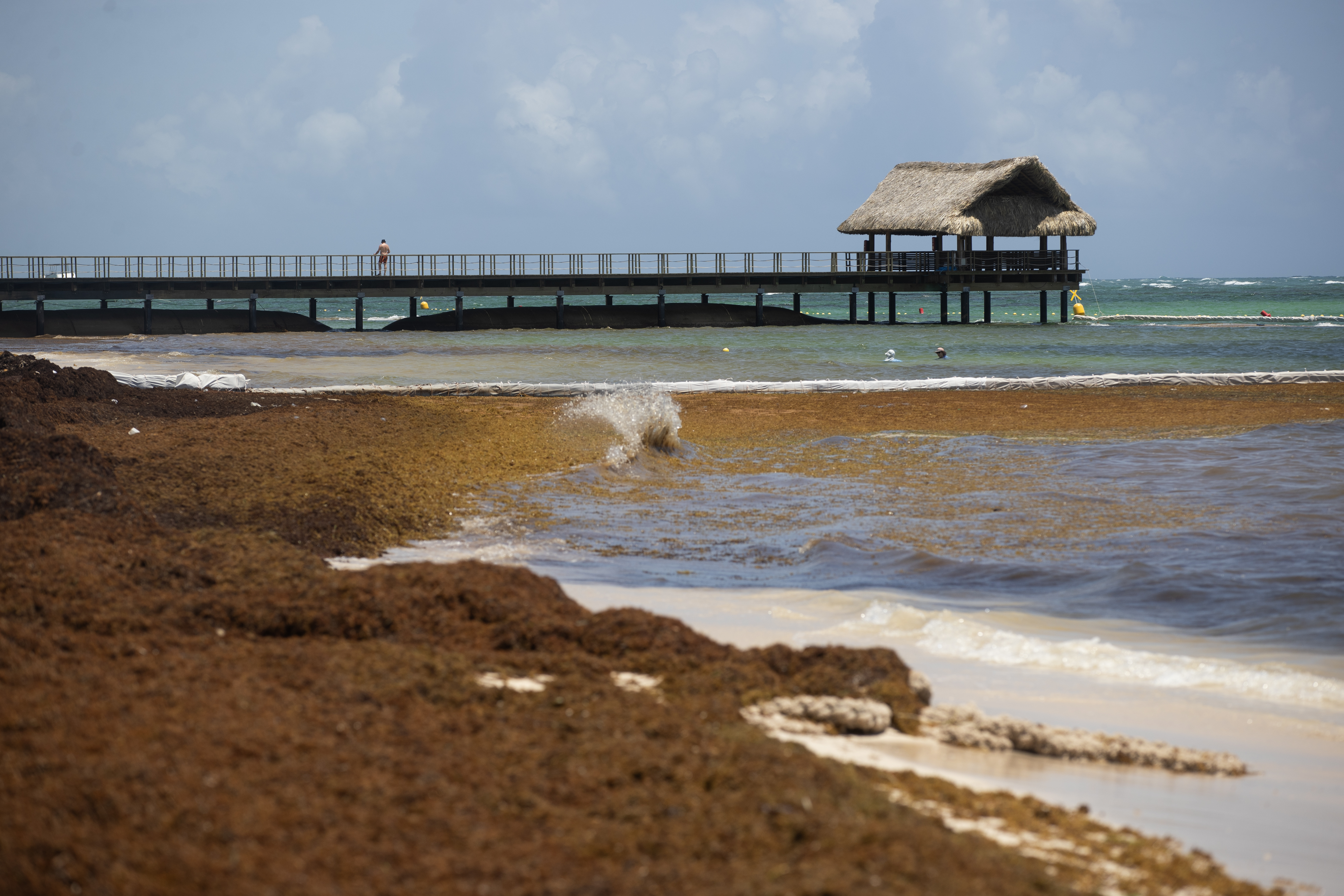 Un paseador de perros encontró un hombre muerto en Parque Saavedra: investigan si fue apuñalado