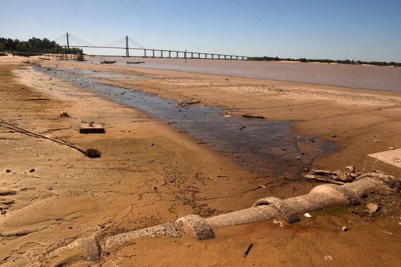 Orilla del río Paraná, donde el nivel del agua bajó severamente.