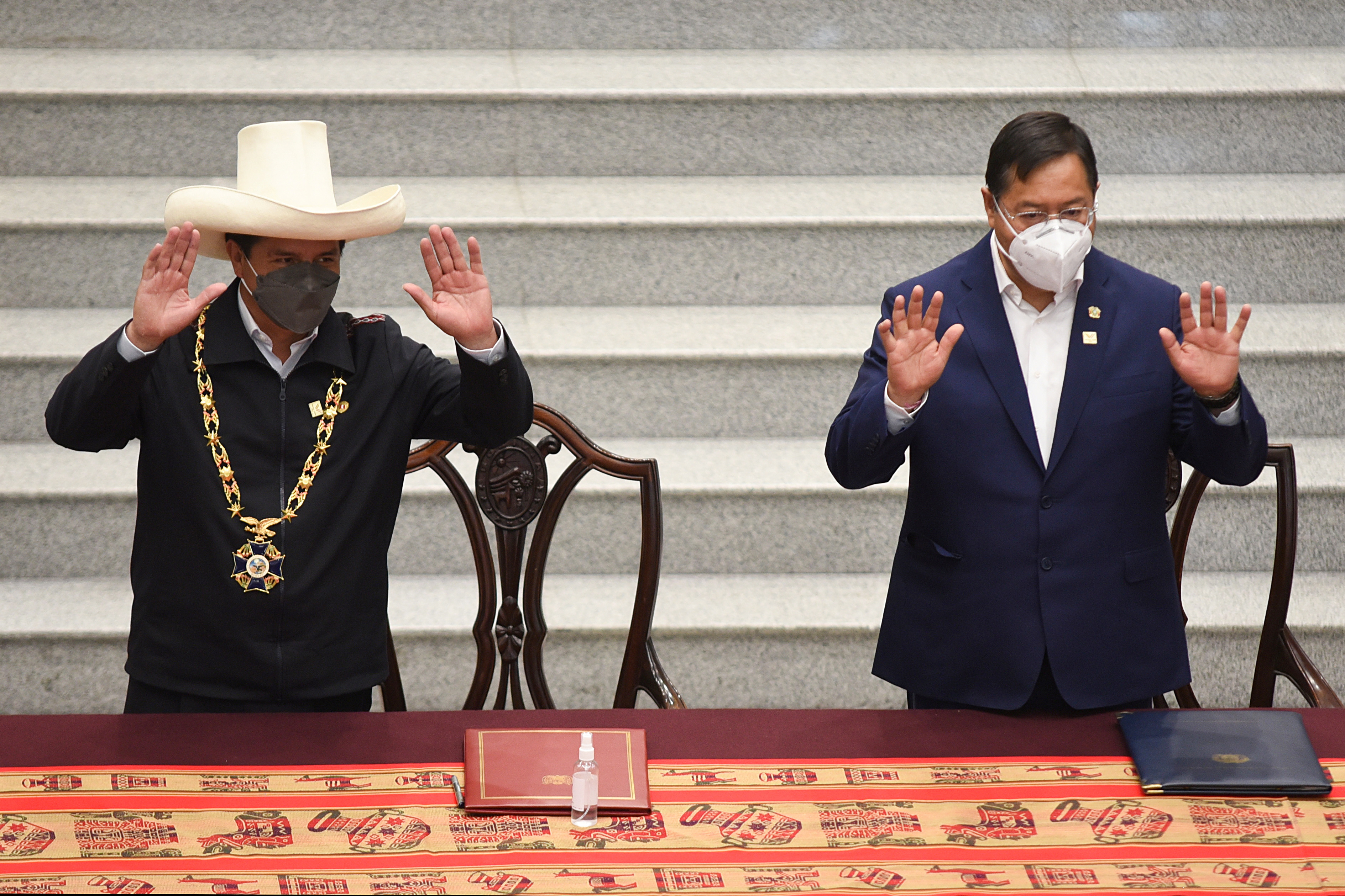 El presidente de Perú, Pedro Castillo, y su par boliviano, Luis Arce   (REUTERS/Claudia Morales)