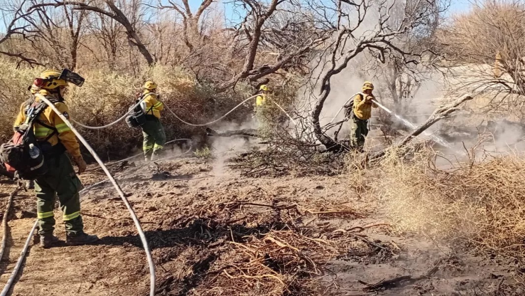 Detuvieron a un sospechoso por los incendios que arrasaron m&aacute;s de 200 hect&aacute;reas en Cafayate