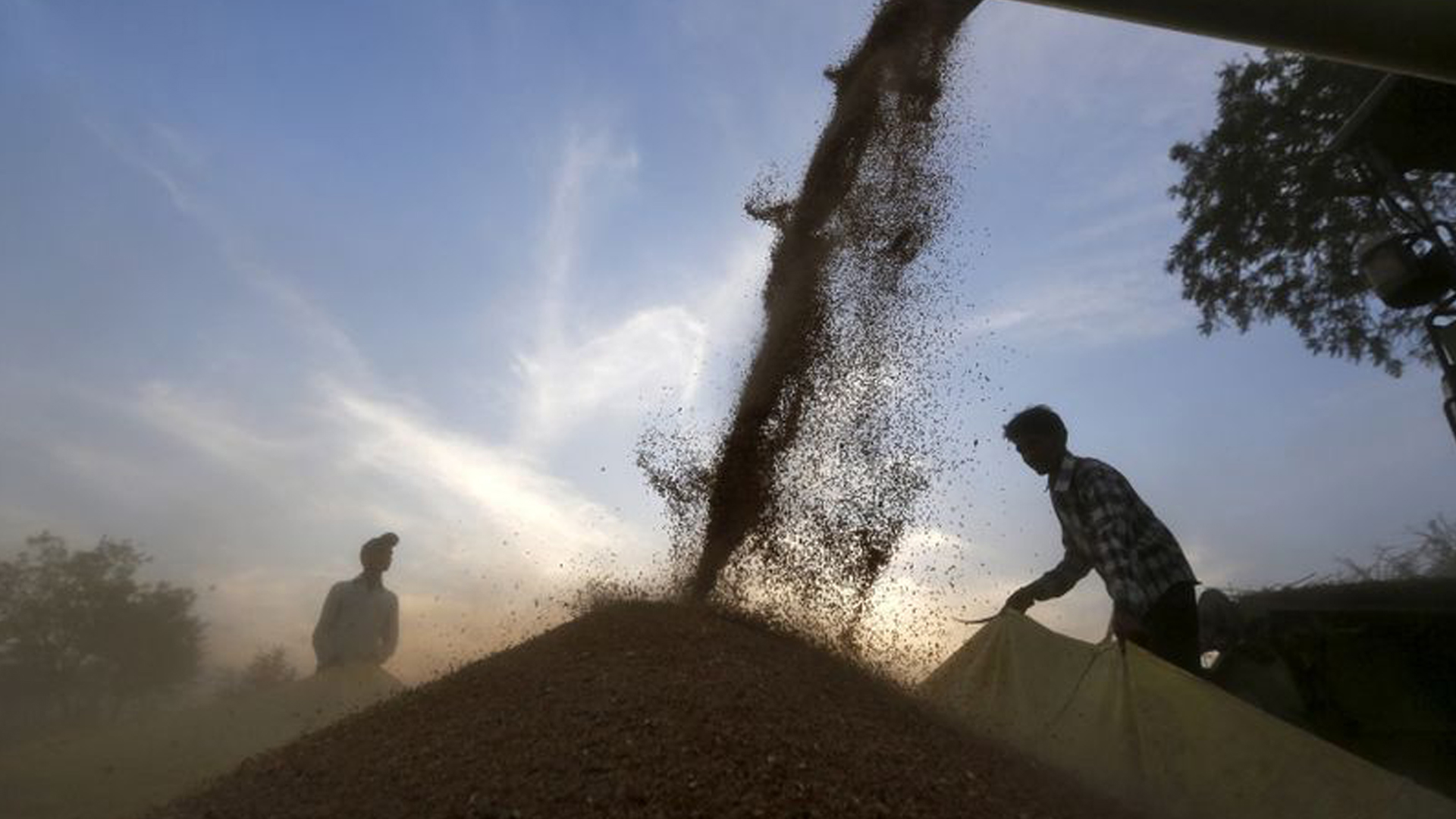 Crisis Alimentaria Pérdidas Y Desperdicios De Comida La Otra Brutal Pandemia Del Siglo Xxi