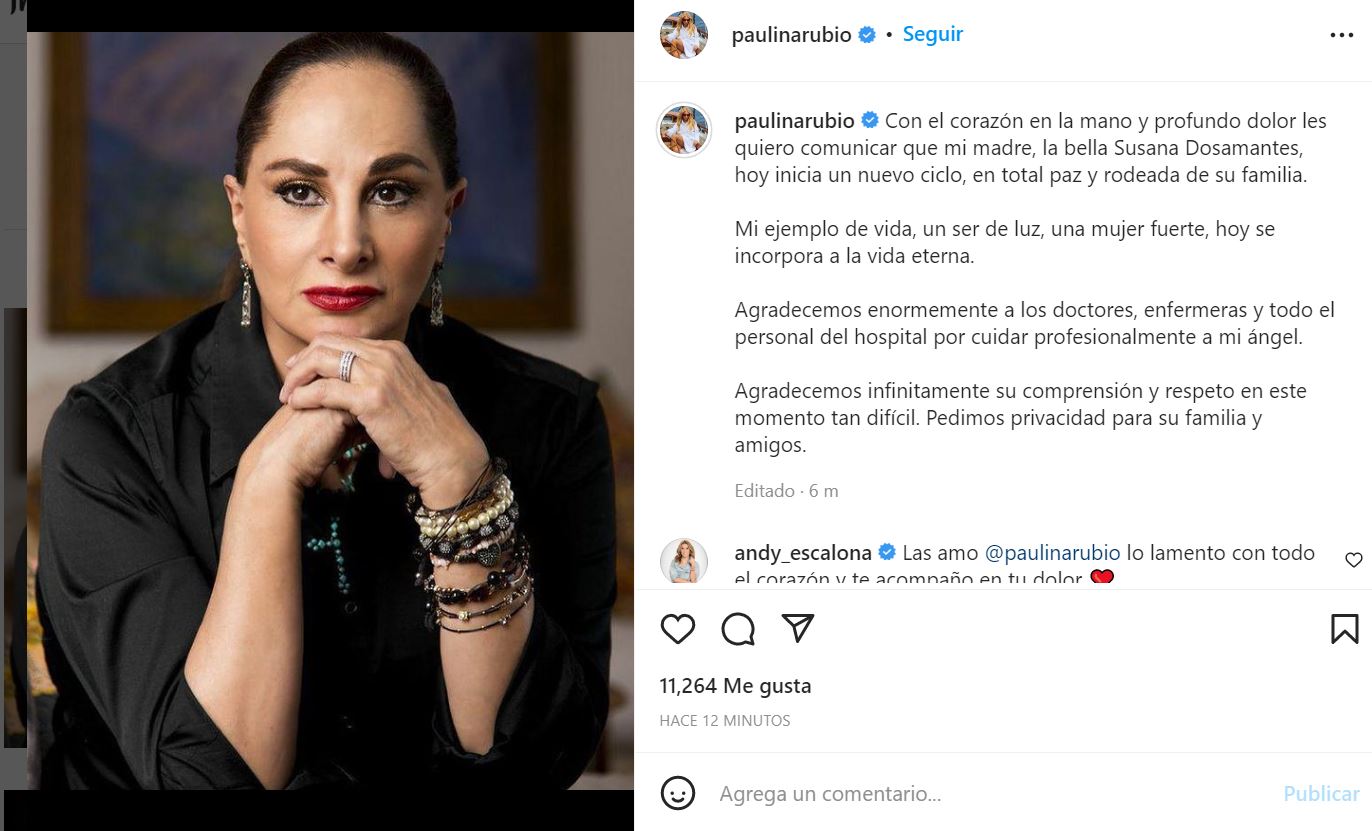 El mensaje de Paulina Rubio por la muerte de su madre (Captura de pantalla: Instagram/@paulinarubio)