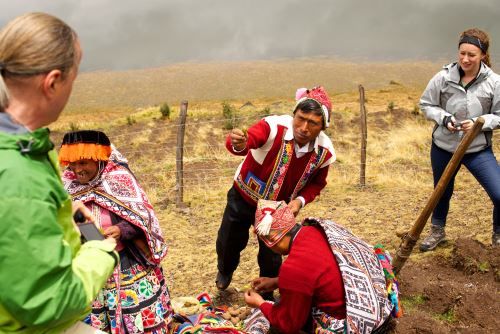 Revenue generated by visitors is often reinvested in nature conservation.  (Andean)