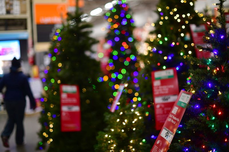 Cortar un árbol de navidad o comprar uno artificial?: un experto explicó  cuál es la opción sustentable - Infobae