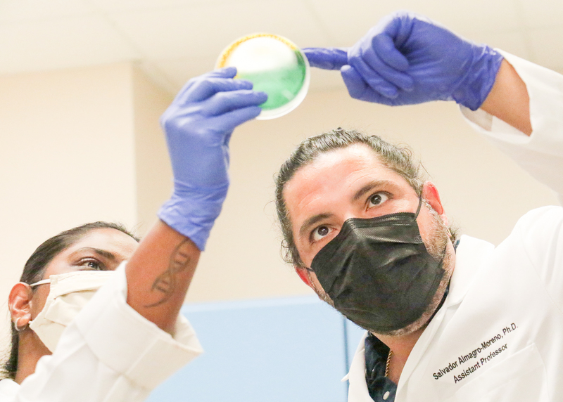 En Florida, Estados Unidos, el científico Salvador Almagro-Moreno estudia las bacterias "come carne" (University of Central Florida)