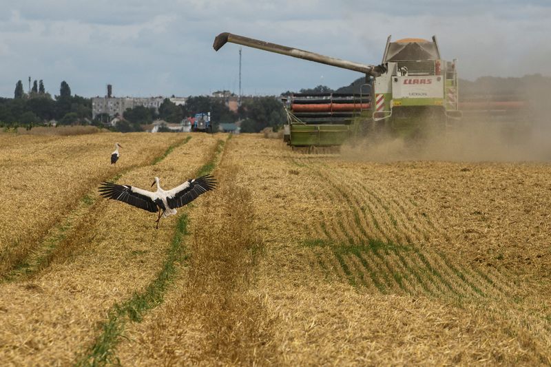 FOTO DE ARCHIVO: Una cosechadora de trigo en un campo cerca de la aldea de Zghurivka, en la región de Kiev, Ucrania (REUTERS/Viacheslav Musiienko)