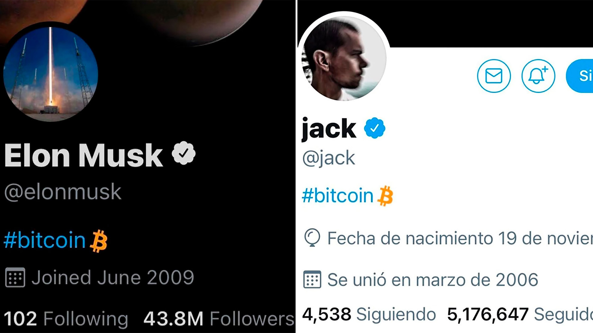El CEO de Twitter se despega de los vaivenes de Elon Mask e invierte fuerte  en negocios vinculados con Bitcoin - Infobae