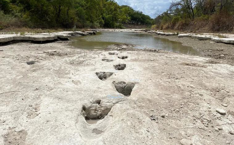 Las misteriosas huellas de dinosaurios que la sequía en Texas permitió descubrir