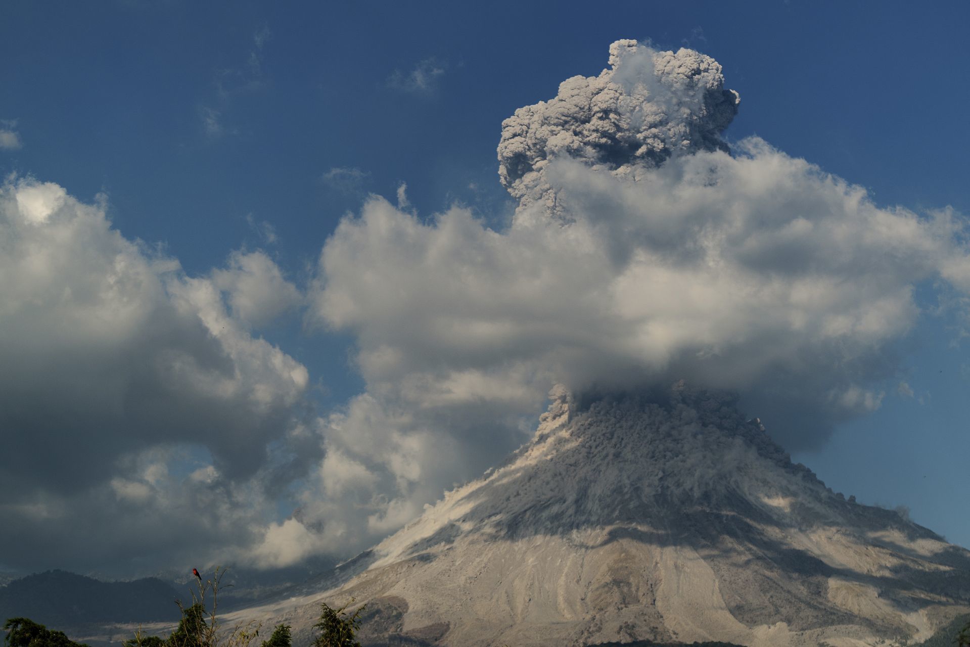 El de Colima es otro de los volcanes activos de México (Foto: SERGIO TAPIRO VELASCO /CUARTOSCURO.COM)