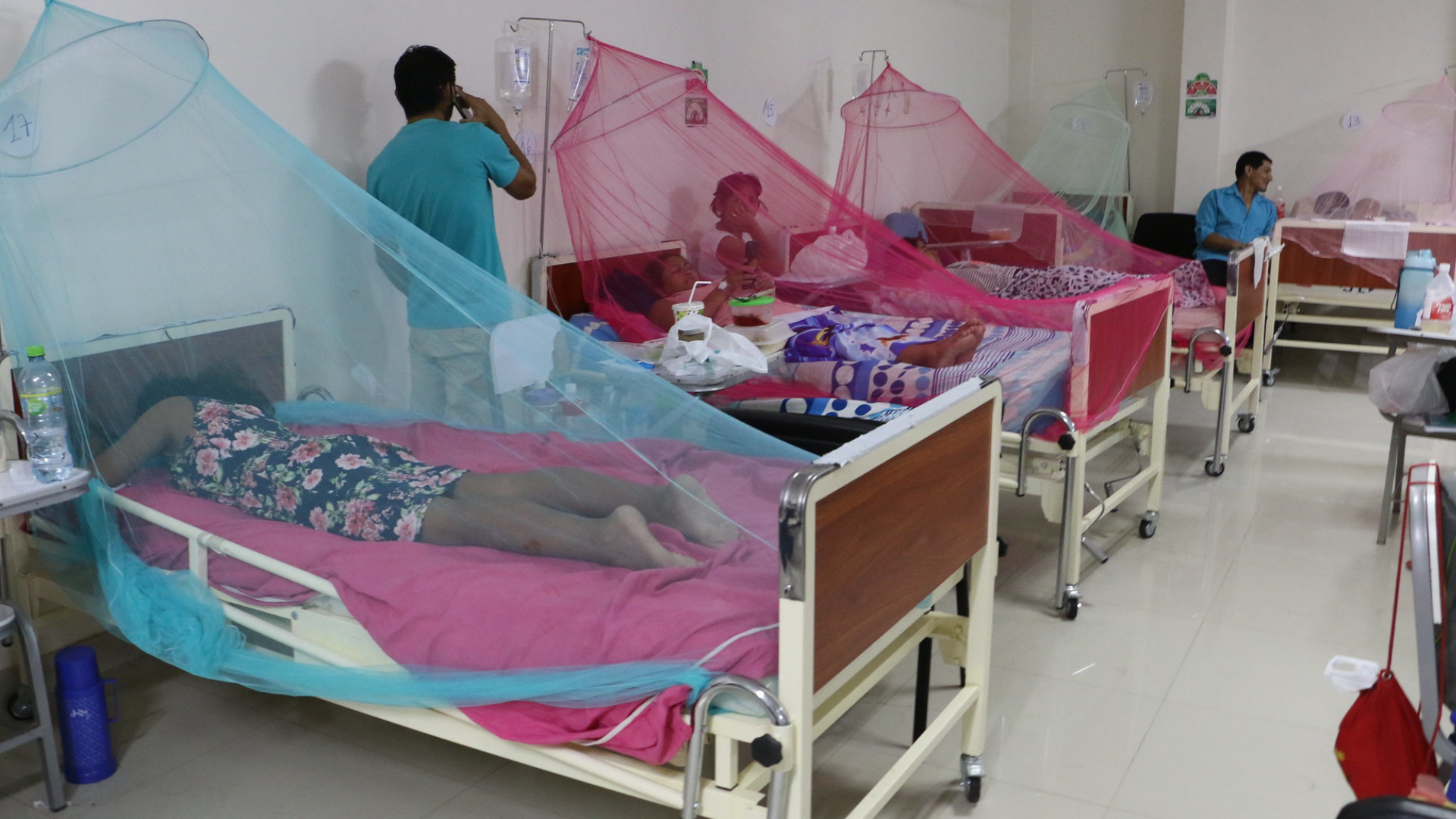 Dengue en Perú: ¿Cuáles son los hospitales habilitados para atender a pacientes contagiados?