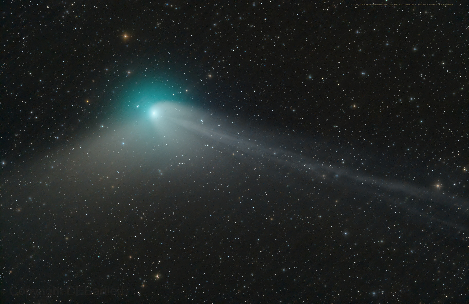 The comet can be seen in Mexico until February 5 (Dan Bartlett/REUTERS)