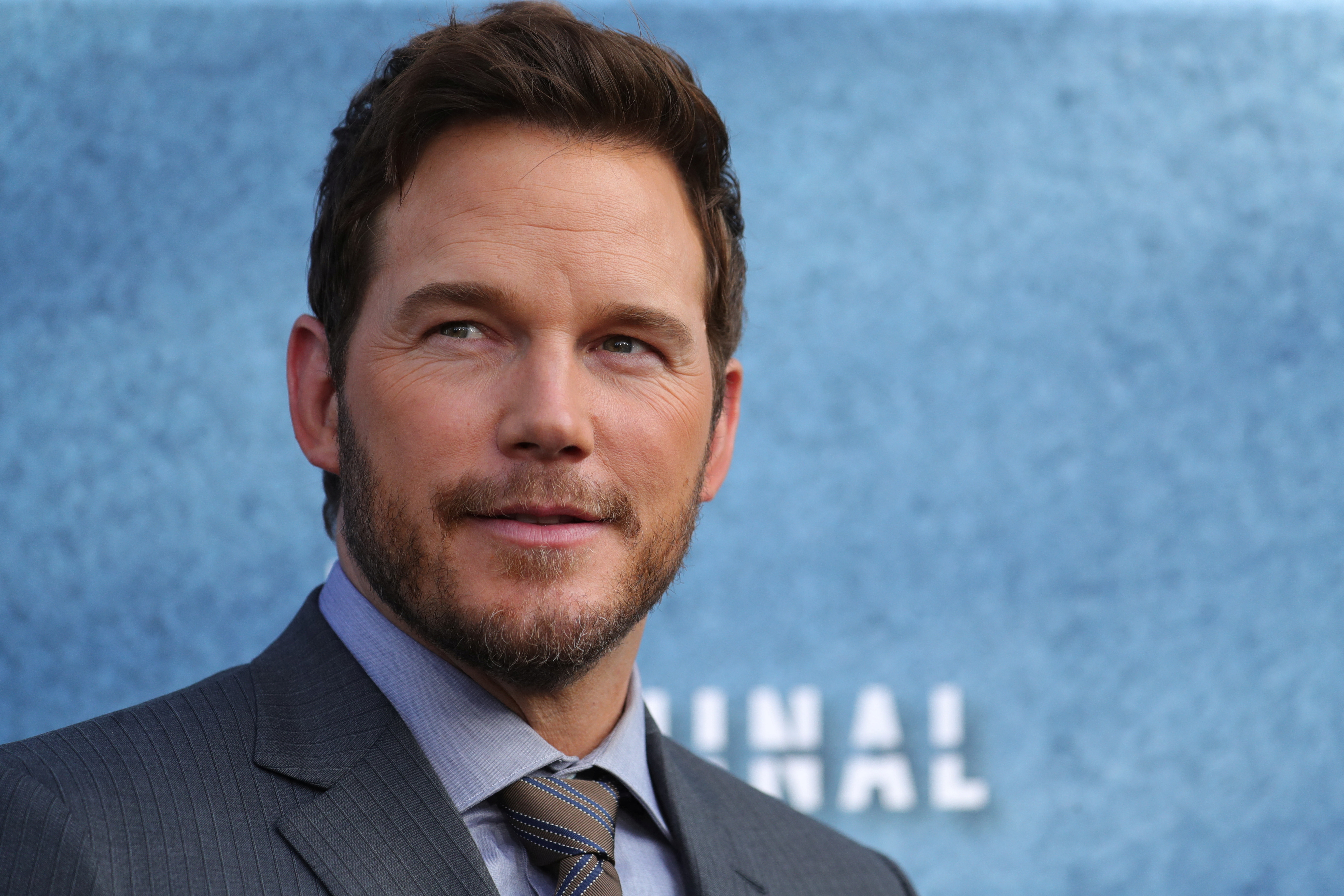 Chris Pratt will now voice Garfield.  (REUTERS/David Swanson)