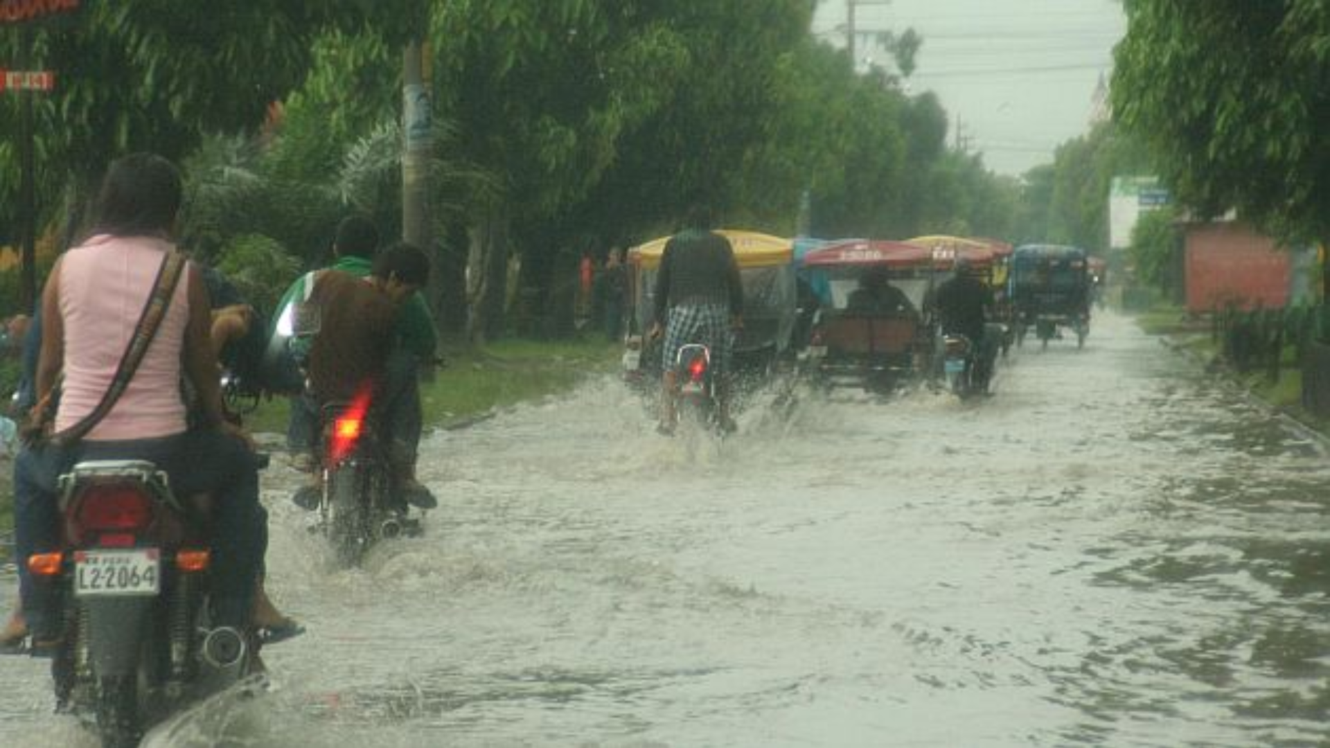 Alerta en la Selva: Fuertes lluvias y vientos afectan varias regiones del Perú - Infobae