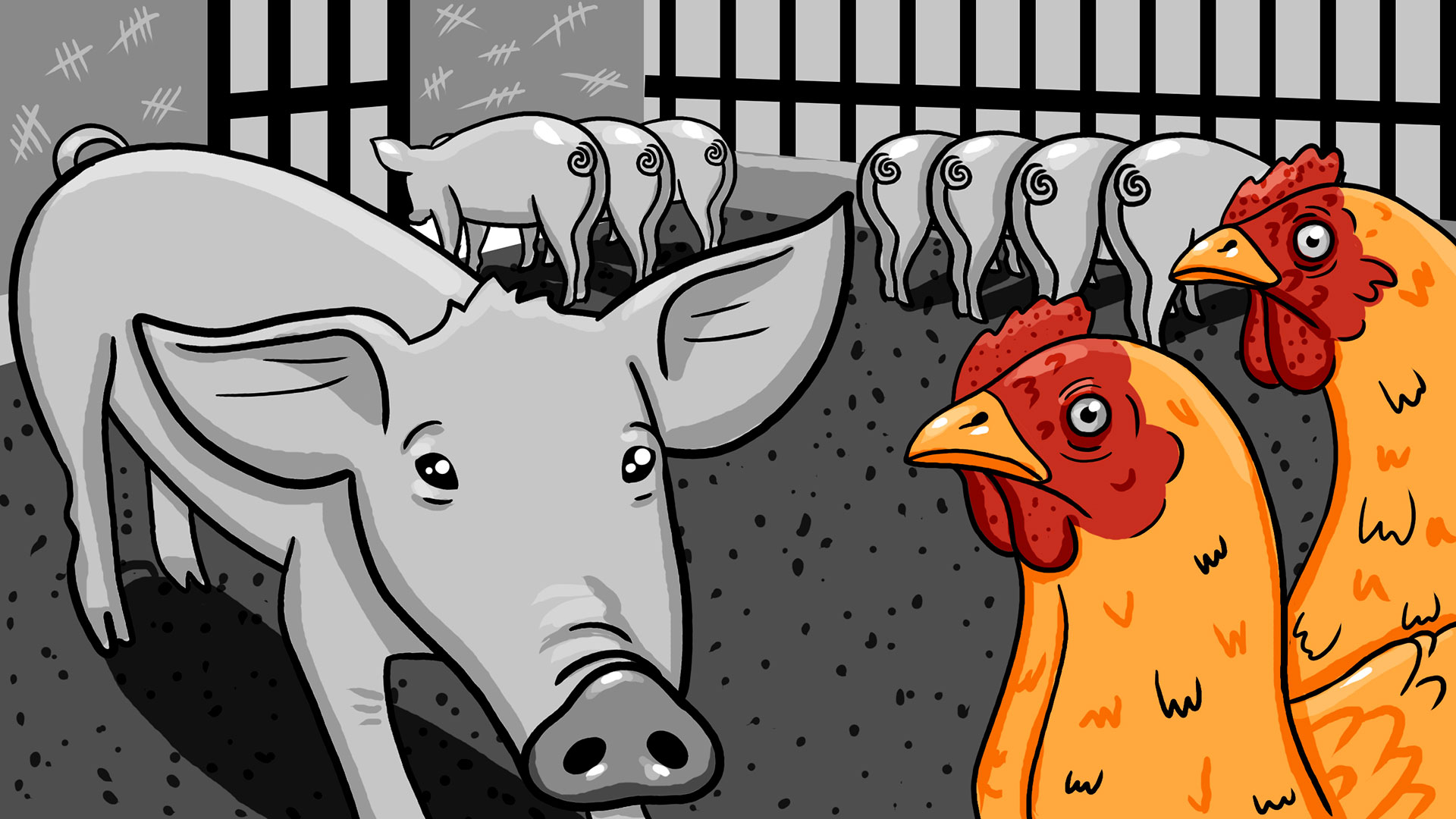 En las cárceles se pueden encontrar criaderos de cerdos, gallinas e incluso peces, mismos que son controlados por los pranes (Connectas)