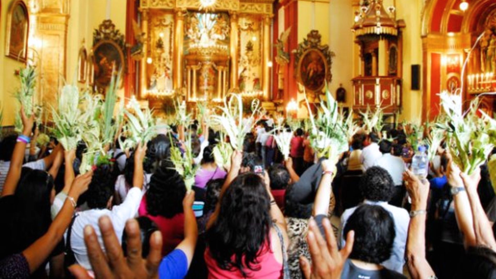 Ramo de olivo en Semana Santa: qué significado tiene y por qué se lleva en Domingo de Ramos - Infobae