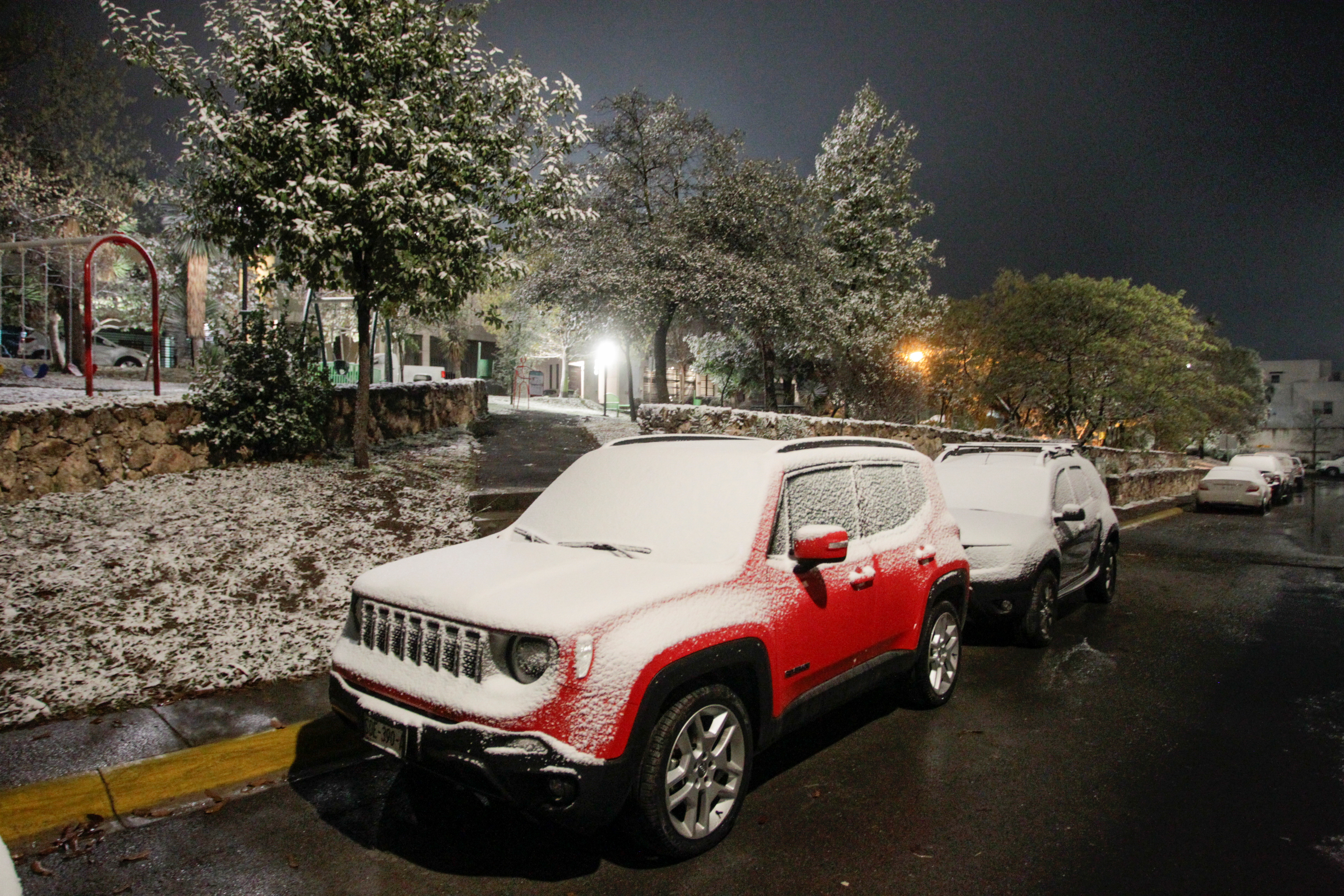 Fotografía de la nevada en Monterrey, este 15 de febrero (Foto: REUTERS/Daniel Becerril)