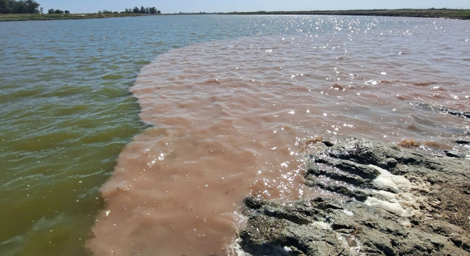 7 frases de Lionel Messi: del enorme elogio a Guardiola a la respuesta sobre el Mundial que ilusionó a los fanáticos de Argentina