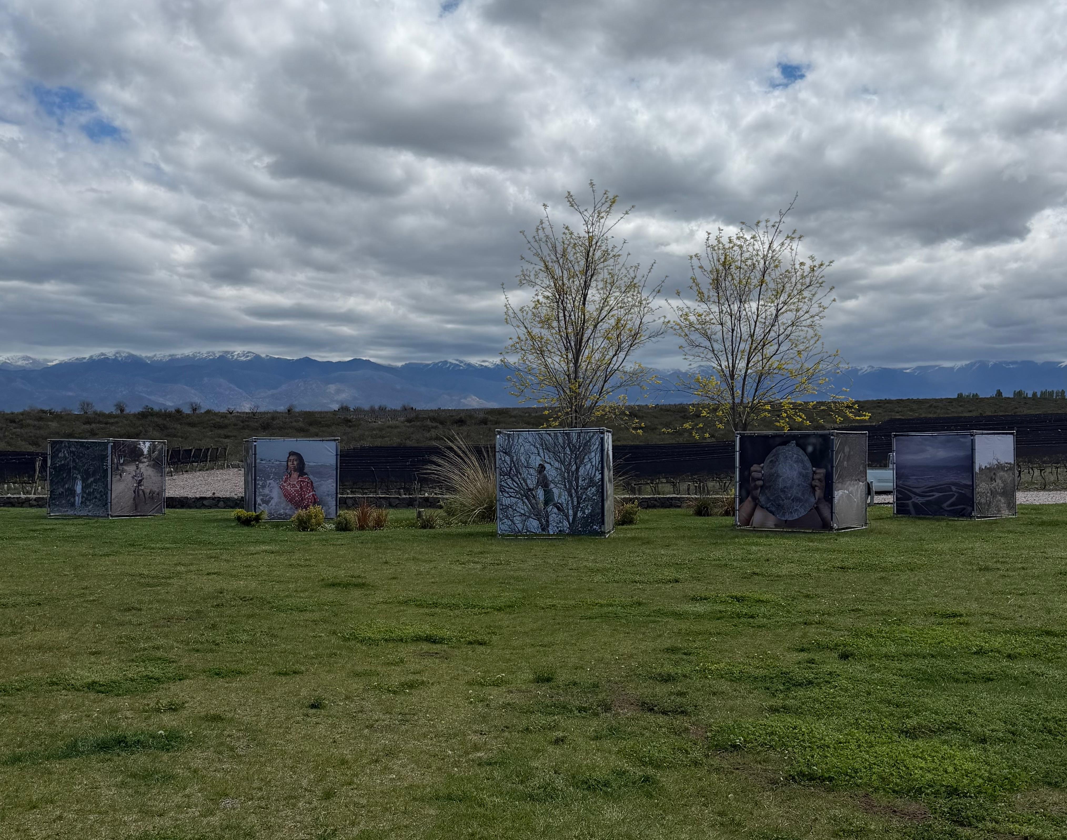 Festival FOCUS en Mendoza: Adriana Lestido, Musuk Nolte y artistas de tres países exploran la fotografía como construcción de realidad