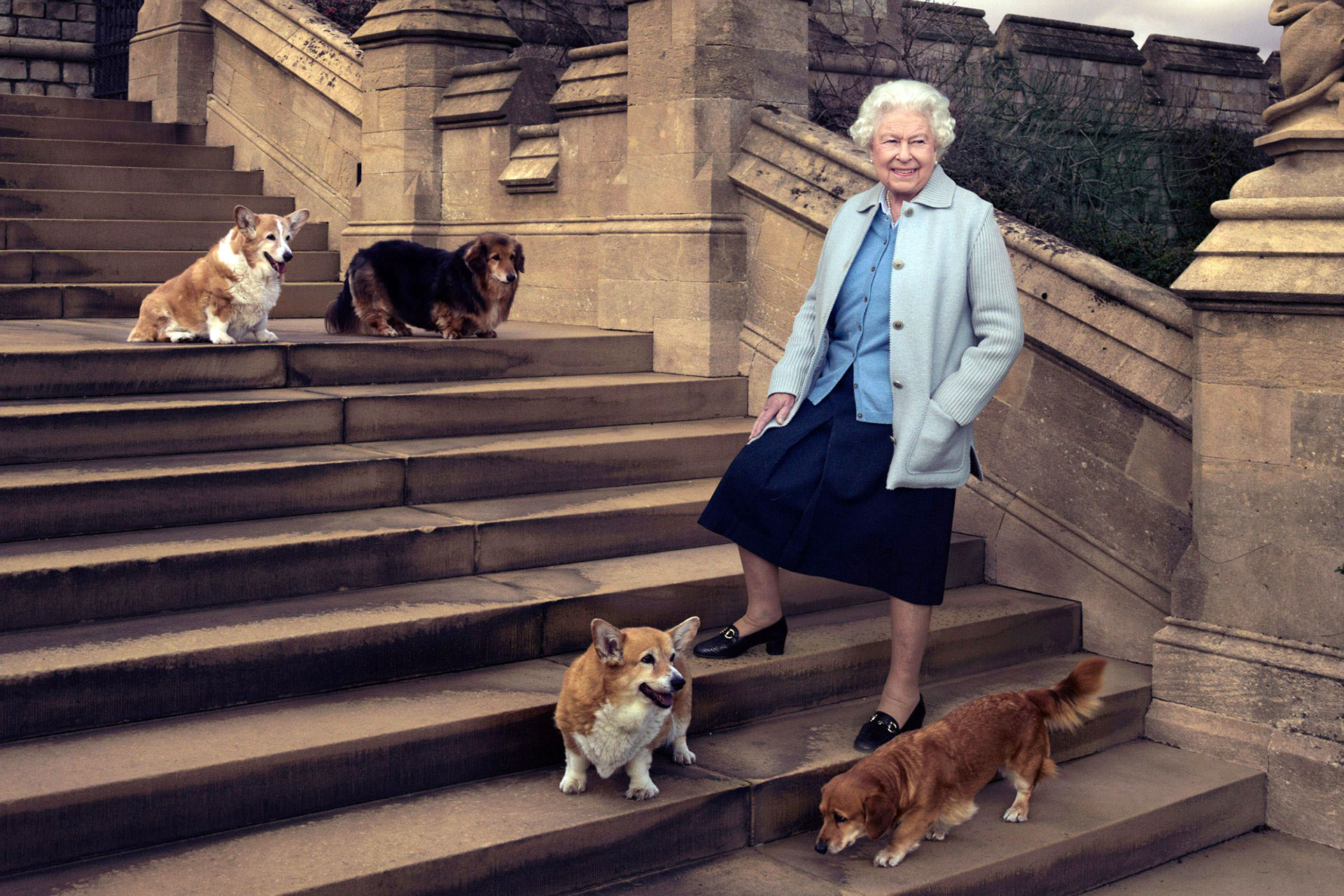 La reina Isabel siempre se declaró fanática de la raza de perros Corgi