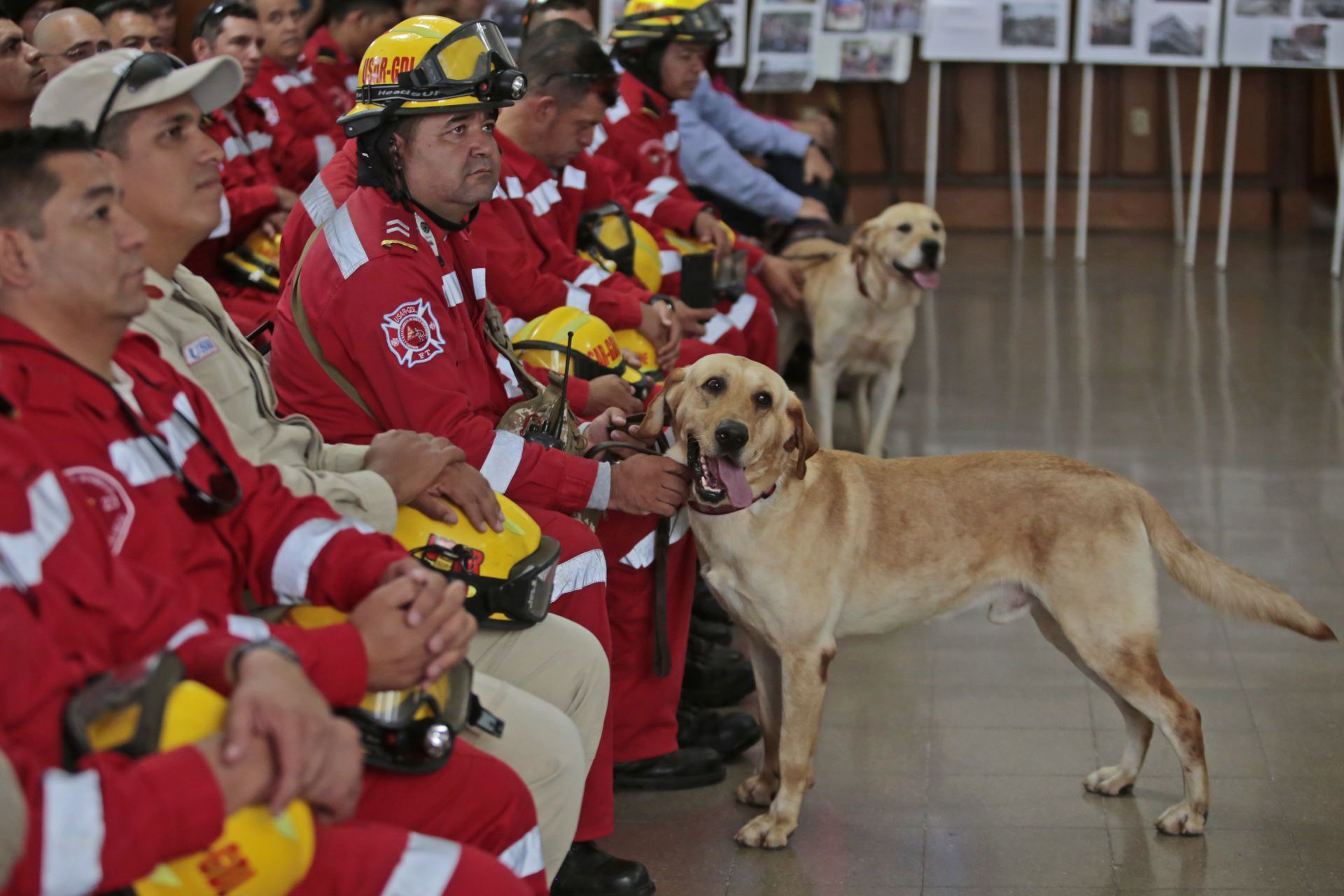 GUADALAJARA, JALISCO. 28SEPTIEMBRE2017.- Enrique Alfaro Ramírez, Presidente Municipal, encabezó el Día del Servidor Público en la Presidencia de Guadalajara y aprovechó para reconocer la gran labor de Bomberos, paramédicos, brigadistas, voluntarios etc., que colaboraron en los trabajos de búsqueda y rescate por el sismo del pasado 19 de Septiembre en los estados de Morelos, Puebla, Ciudad de México y Estado de México. FOTO: FERNANDO CARRANZA GARCIA/ CUARTOSCURO.COM