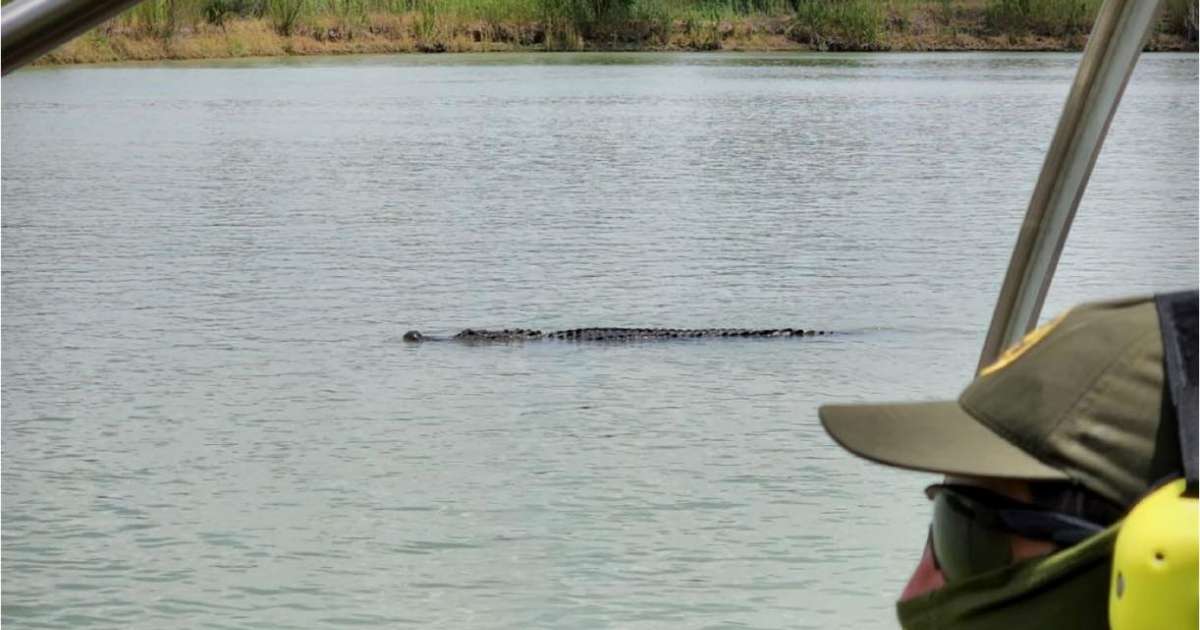 Avistaron un enorme cocodrilo en las aguas del Río Bravo que representaría un nuevo peligro para migrantes 