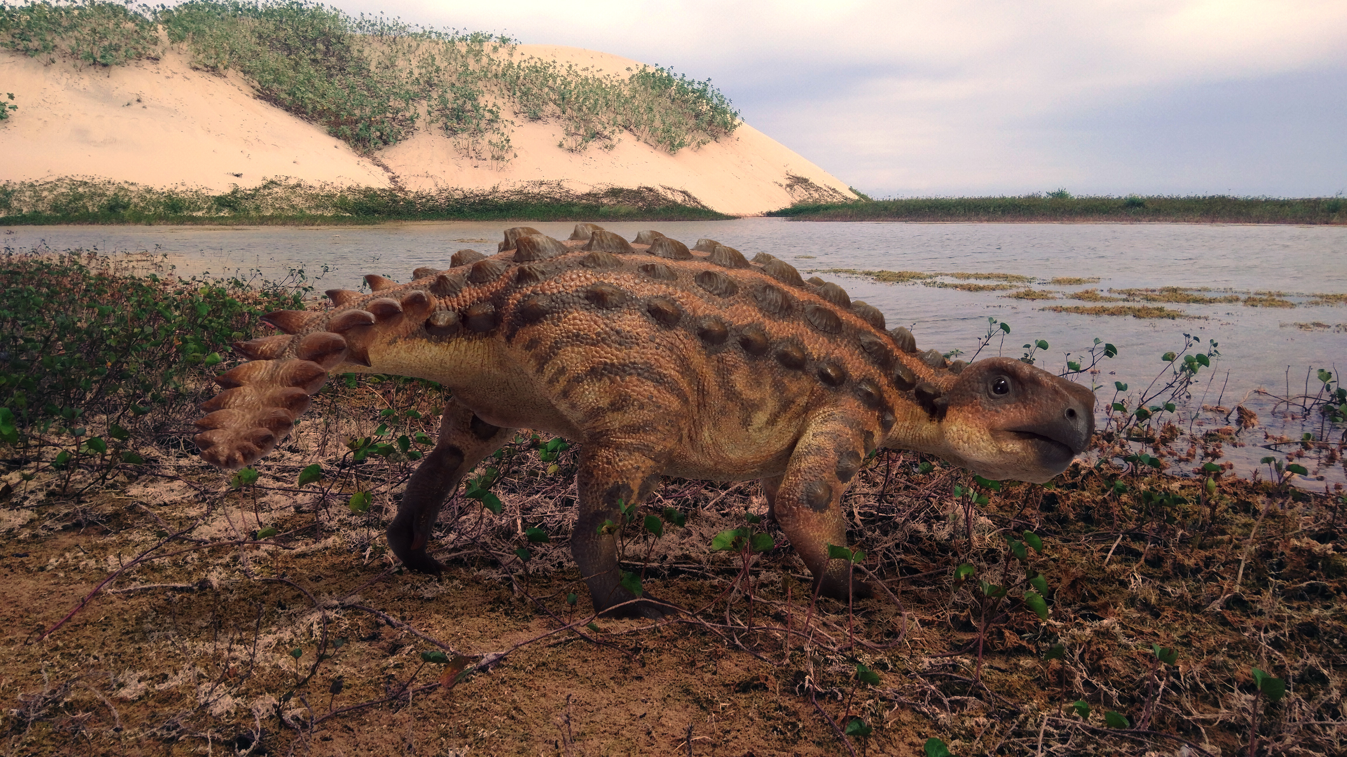 Patagonia: descubrieron una extraña especie de dinosaurio que usaba su cola  como un arma - Infobae