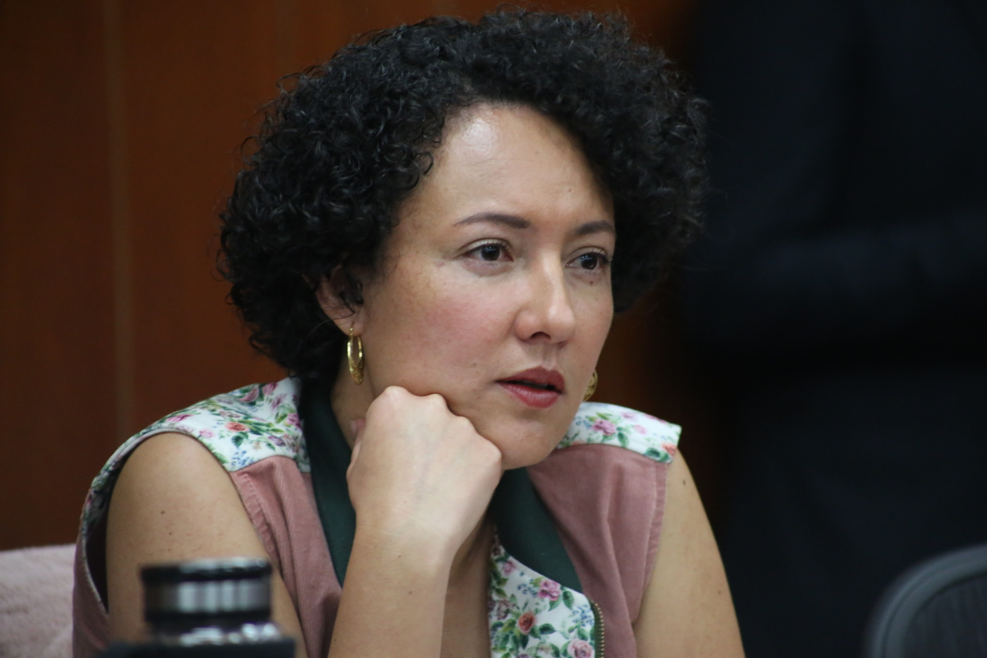 Isabel Zuleta se fue en contra del gobernador de Antioquia por críticas al  levantamiento de órdenes de captura a jefes de bandas en Medellín: “Le han  dicho mentiras al país” - Infobae