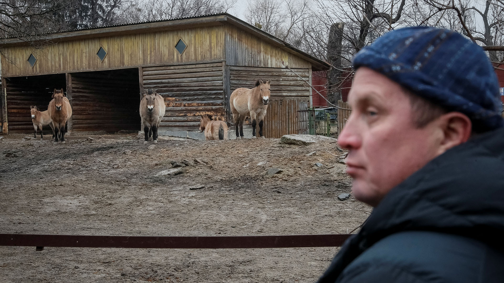“Es casi imposible evacuar a los animales, porque es imposible brindar un servicio veterinario y transporte adecuados”, dijo Kyrylo Trantin, jefe del zoológico (REUTERS/Gleb Garanich)