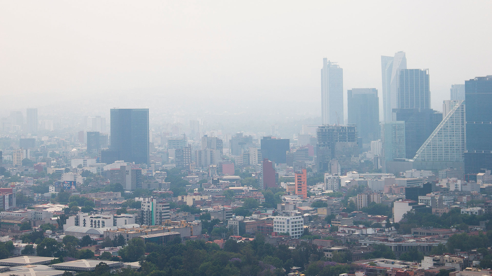 El fin de semana se activó la Fase 1 de la Contingencia Ambiental por la mala calidad del aire (FOTO: GRACIELA LÓPEZ /CUARTOSCURO.COM)