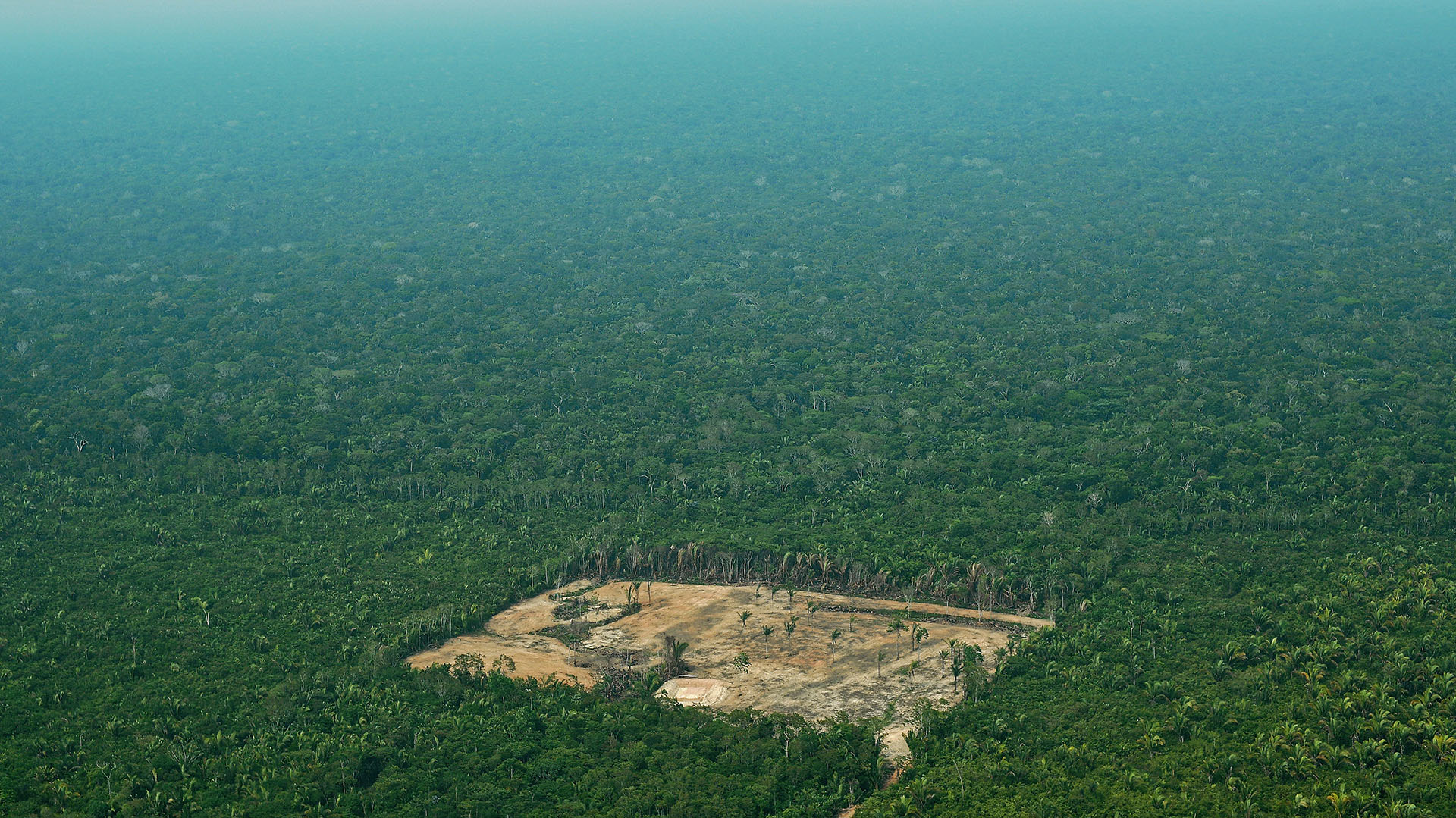La deforestación en la Amazonía de Brasil, Perú, Colombia, Venezuela entre otros, es una de las preocupaciones de los gobiernos en materia ambiental. Según Global Witness, en la medida en que la crisis climática se intensifique, los asesinatos a líderes ambientales seguirán en aumento.  