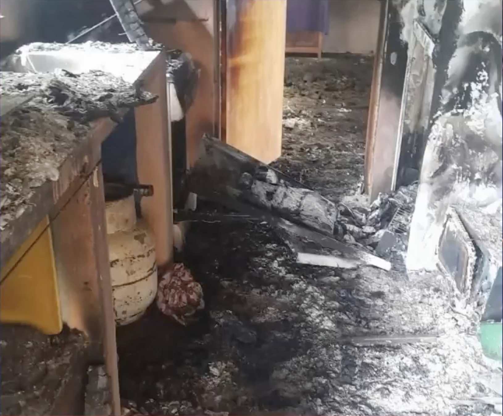 Imputan en Uruguay a una mujer por la aparición de animales muertos y amenazas en dos escuelas