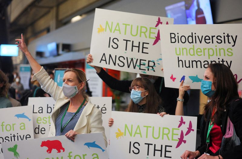 La parte más significativa del acuerdo es el compromiso de proteger el 30 % de la tierra y el agua consideradas importantes para la biodiversidad para 2030. Actualmente, el 17 % de las áreas terrestres y el 10 % de las áreas marinas están protegidas. REUTERS/Christinne Muschi/