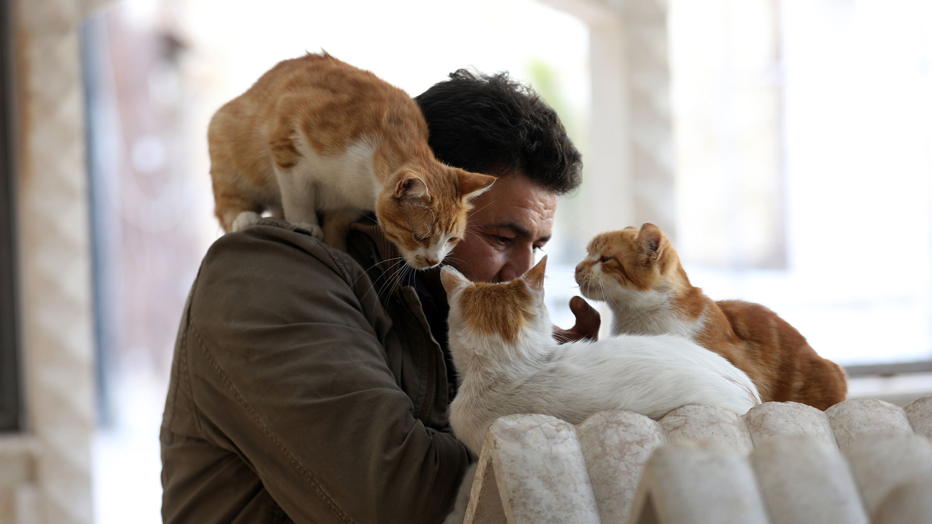 Los gatos y los humanos tenemos diferentes maneras de comunicarnos y a veces puede dar problemas (AFP)