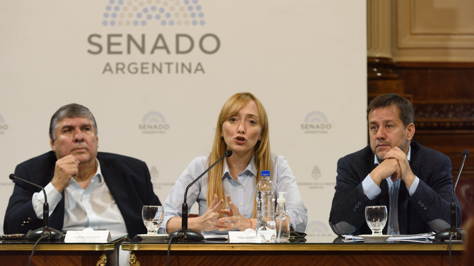 José Mayans, Anabel Fernández Sagasti, Mariano Recalde (Foto: Adrián Escandar)