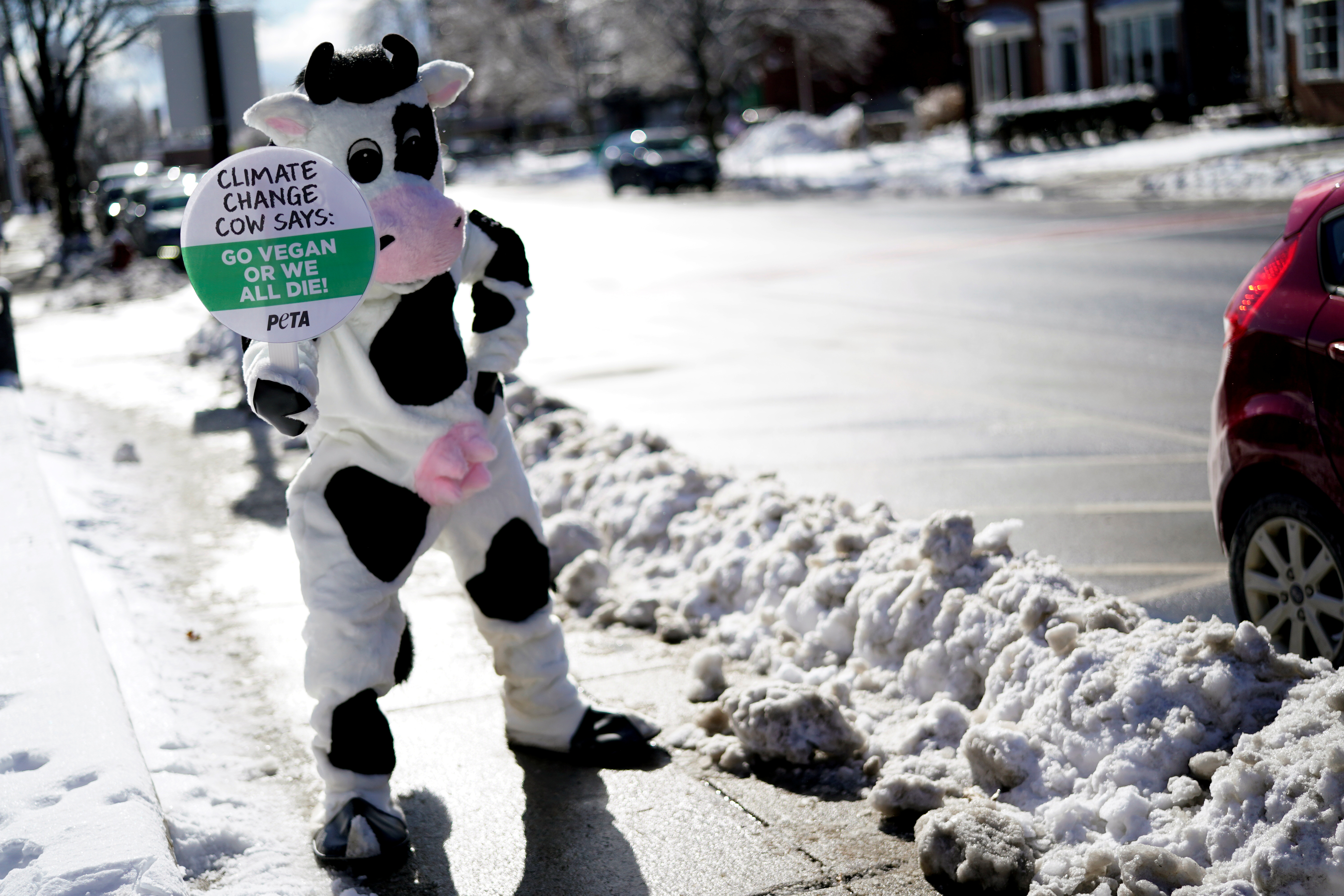 Una persona vestida de vaca alerta del peligro del cambio climático y el abuso animal - REUTERS/Rick Wilking